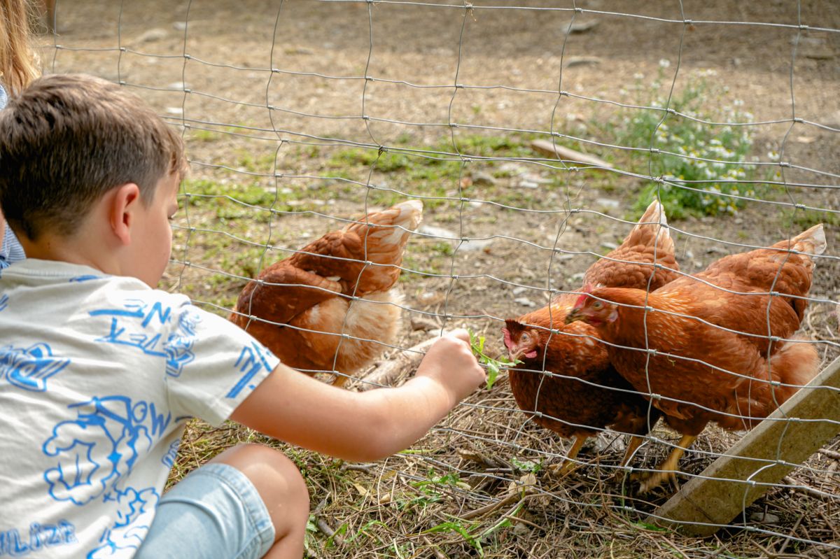 Image: Our farm