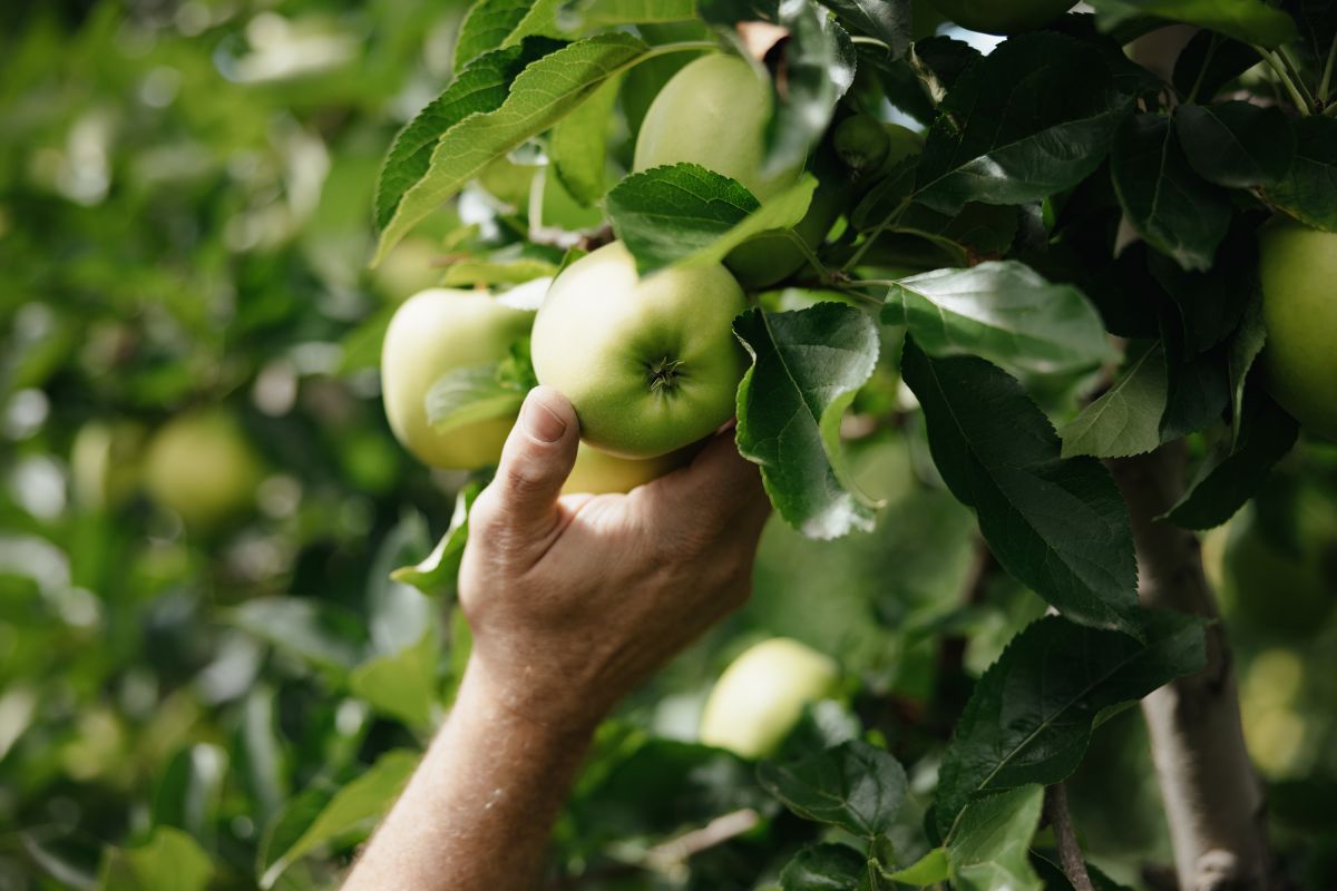 Bild: Unser Bauernhof