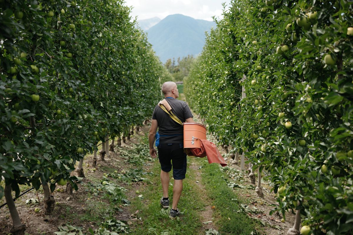 Bild: Unser Bauernhof