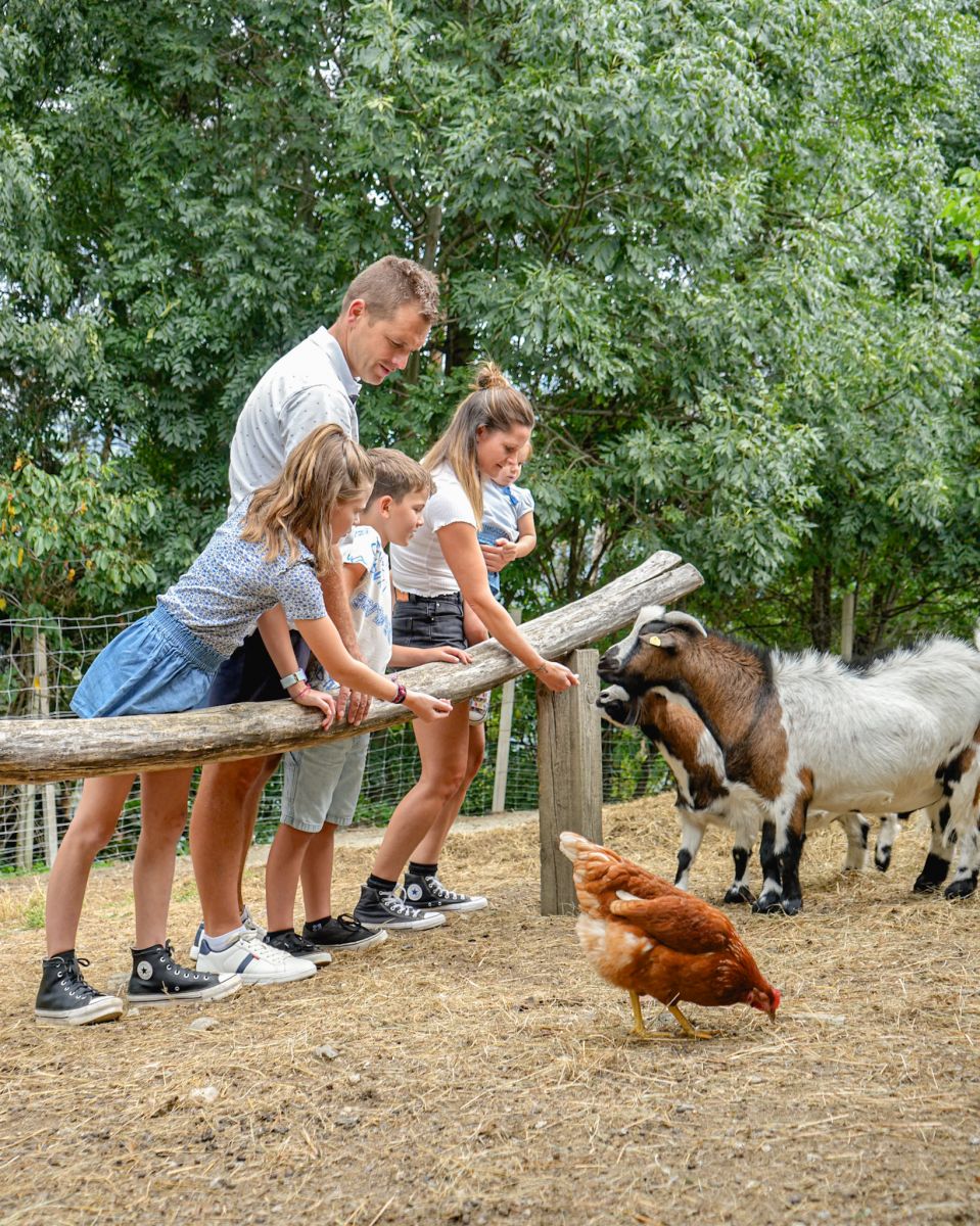 Bild: Urlaub auf dem Bauernhof Plattnerhof