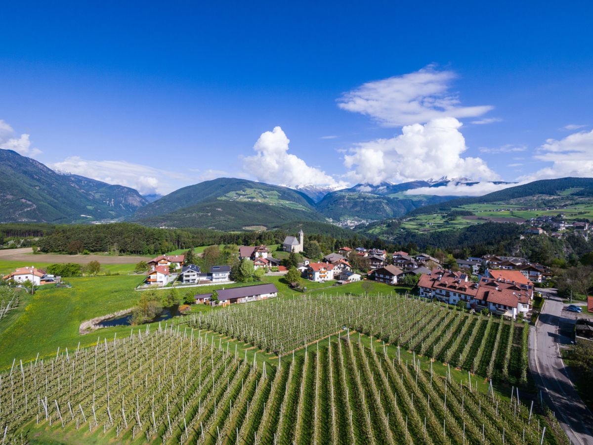 Bild: Urlaub auf dem Bauernhof Plattnerhof