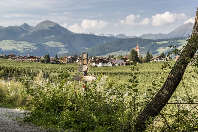 Image: Plattnerhof in the Isarco Valley