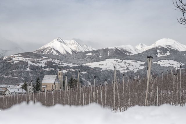 Image: Plattnerhof in the Isarco Valley