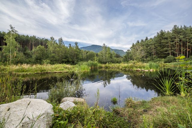 Image: Summer holidays at the Plattnerhof