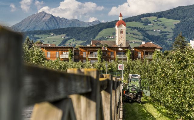 Image: Summer holidays at the Plattnerhof