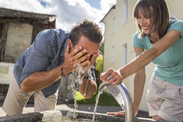 Image: Summer holidays at the Plattnerhof