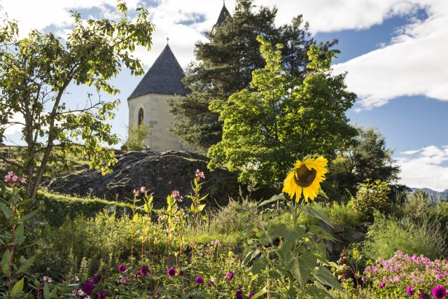 Image: Summer holidays at the Plattnerhof
