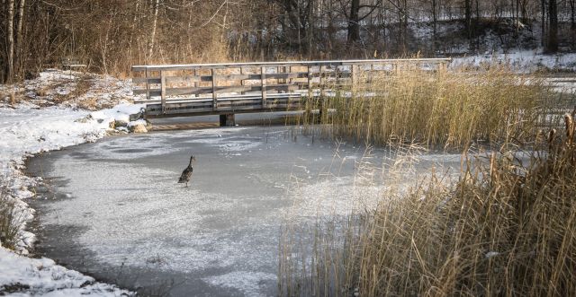 Bild: Winterurlaub - Eisacktal
