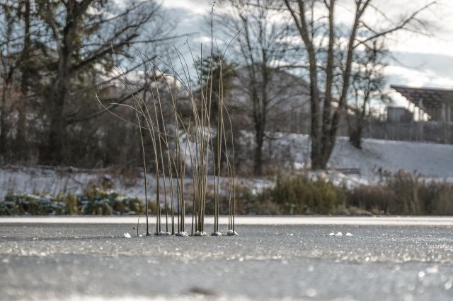 Bild: Winterurlaub - Eisacktal