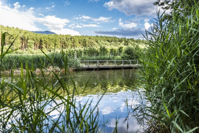 Urlaub im Südtiroler Eisacktal Bild: Urlaub im Südtiroler Eisacktal
