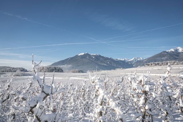 Urlaub im Südtiroler Eisacktal Bild: Urlaub im Südtiroler Eisacktal