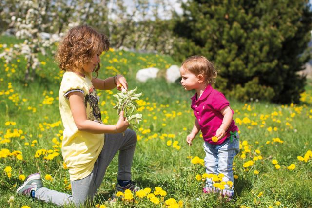 Vacanze in agriturismo per tutta la famiglia - Val d'Isarco Immagine: Vacanze in agriturismo per tutta la famiglia