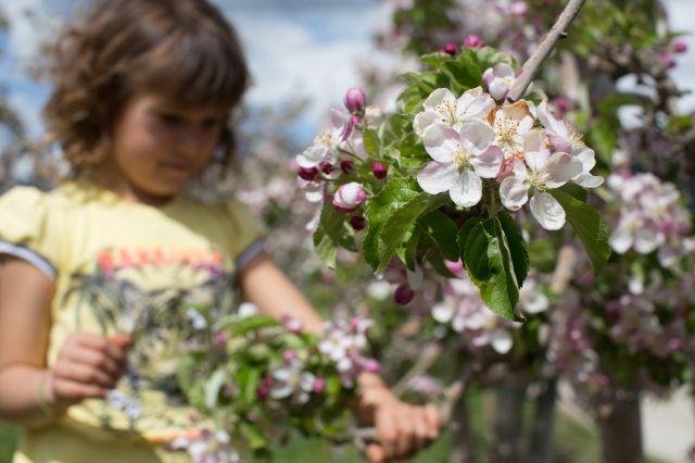 Vacanze in agriturismo per tutta la famiglia - Val d'Isarco Immagine: Vacanze in agriturismo per tutta la famiglia