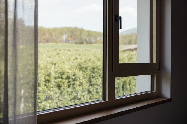 Image: Apartment Rienz