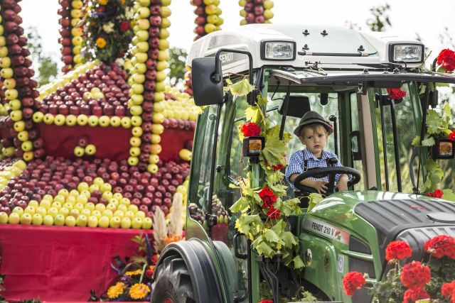 Bild: Herbsturlaub auf dem Plattnerhof