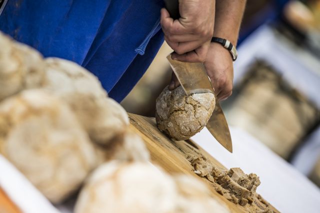 Bild: Herbsturlaub auf dem Plattnerhof