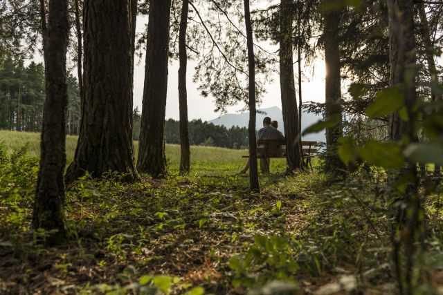Bild: Herbsturlaub auf dem Plattnerhof
