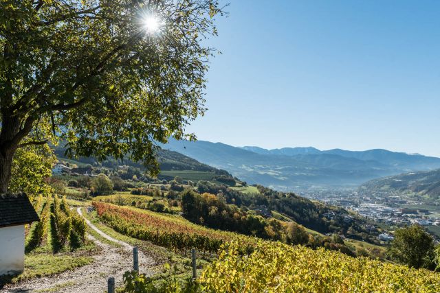 Bild: Herbsturlaub auf dem Plattnerhof