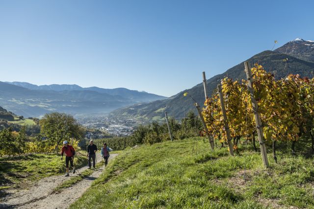 Bild: Herbsturlaub auf dem Plattnerhof